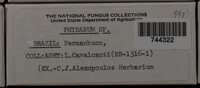 Image Associated With the Occurence